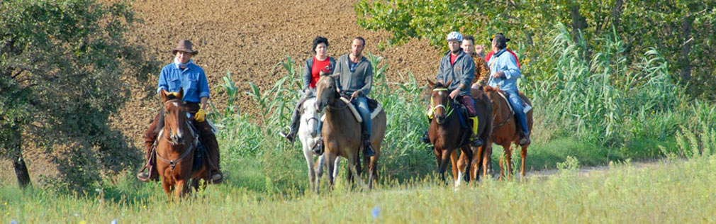 Itinerari a cavallo in Umbria al lago Trasimeno