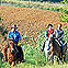 A cavallo nelle terre del Trasimeno