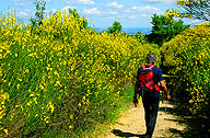 Itinerari a piedi al lago Trasimeno