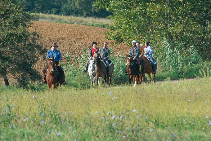 A cavallo